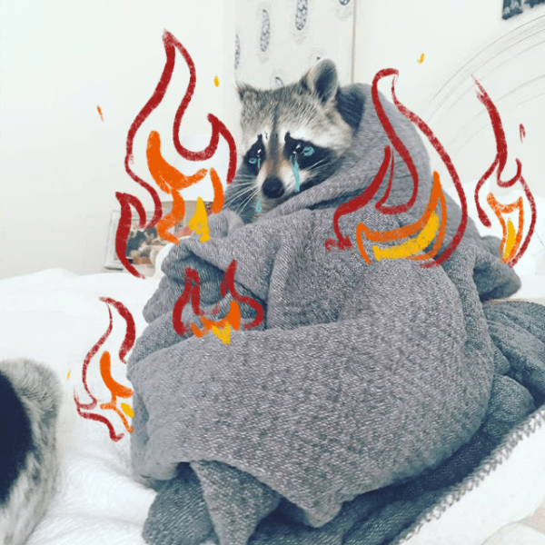 I’m Tired Of Waking Up To A World On&nbsp;Fire